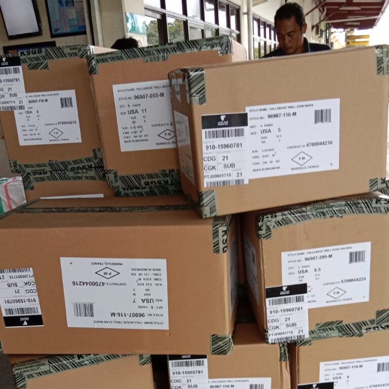 Cartons of shoes sent to Paris CDG Airport by Air Service
