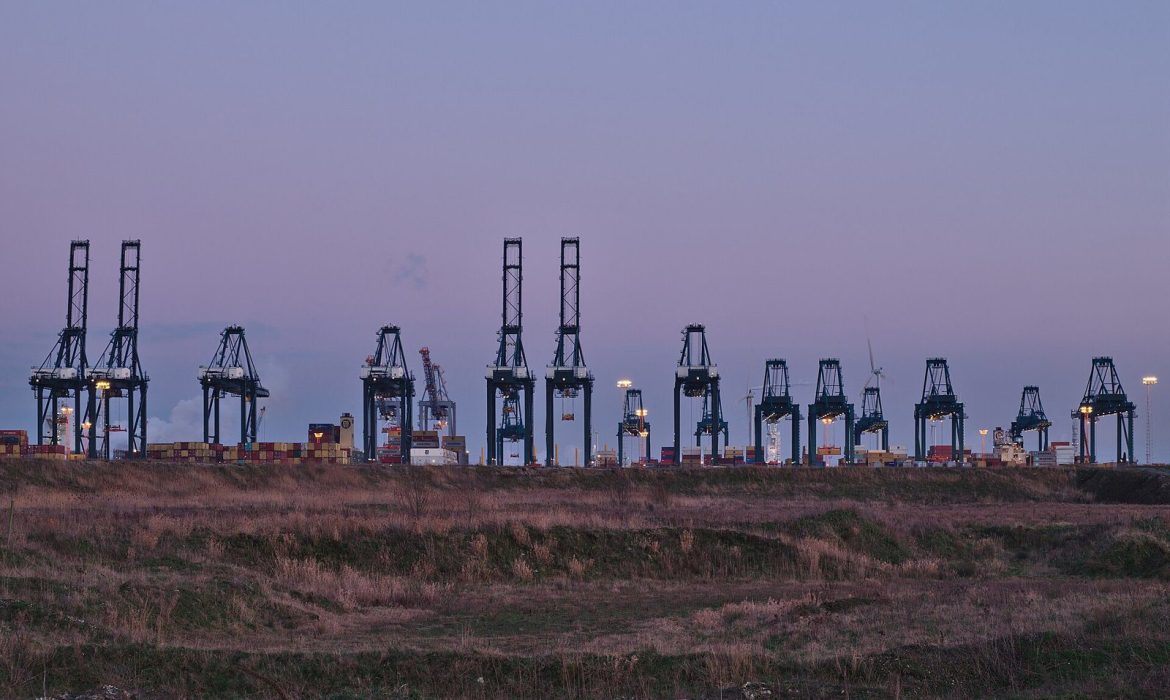Crane terminal kontainer mempercepat proses bea cukai impor
